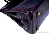 Birkin 35 Patent Prune Crocodile