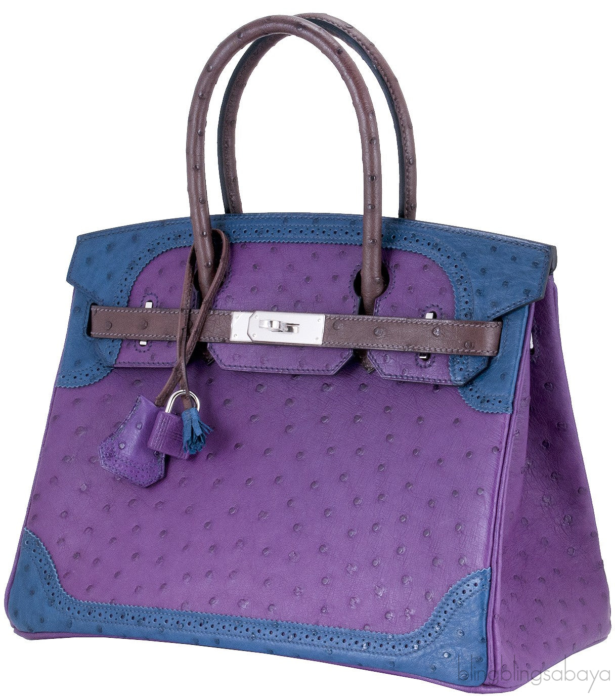 Birkin 30 Tri-color Ghillies Ostrich