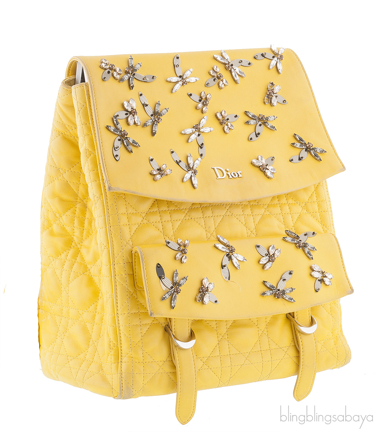 Dior Embroidered Stardust Backpack