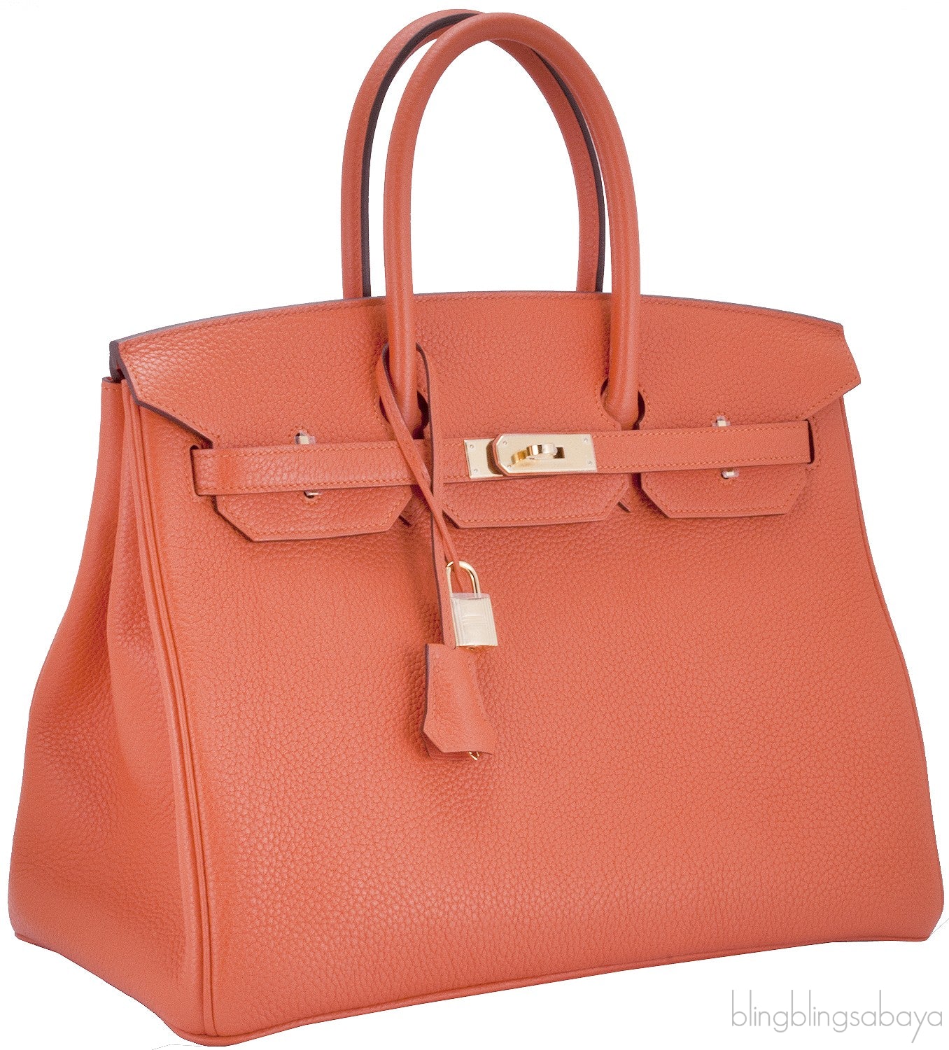 Birkin 35 Feu Taurillon Clem GHW