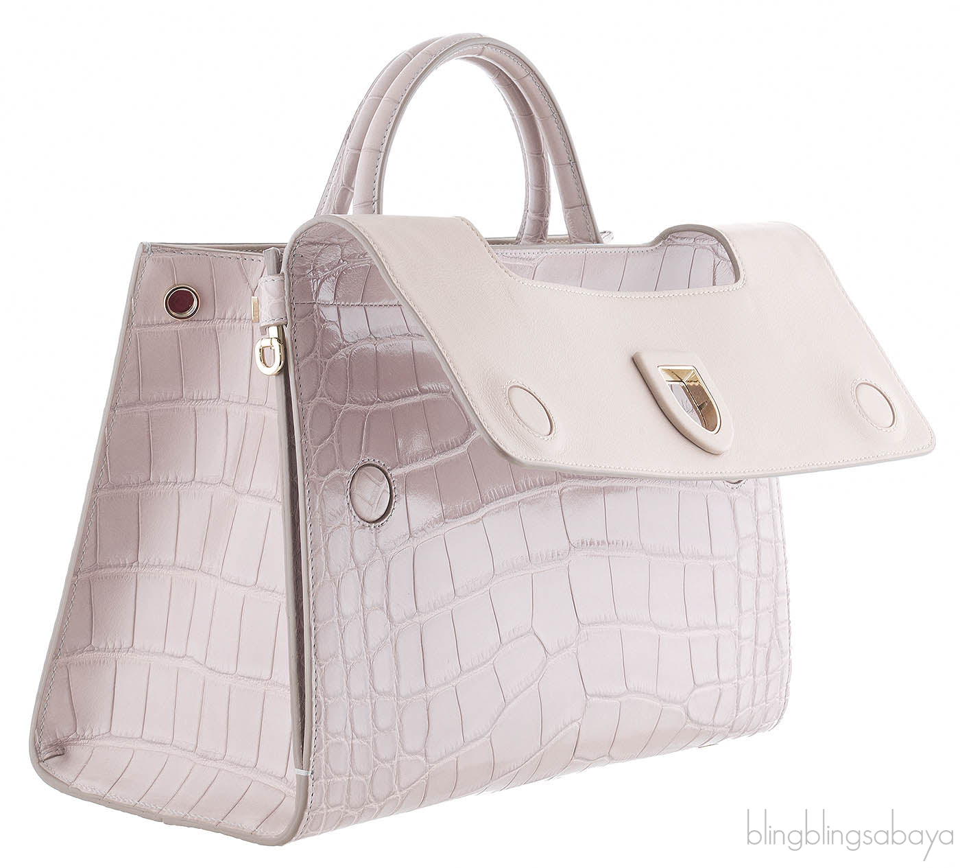 Christian Dior Diorever Crocodile Medium Bag