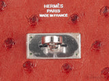 Hermes Kelly Wallet Brick Ostrich Wallet PHW