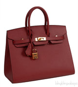 Birkin 25 Sellier Rouge Epsom GHW