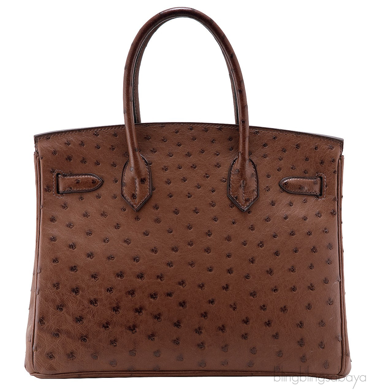 Birkin 30 Etrusque Chocolate Ostrich