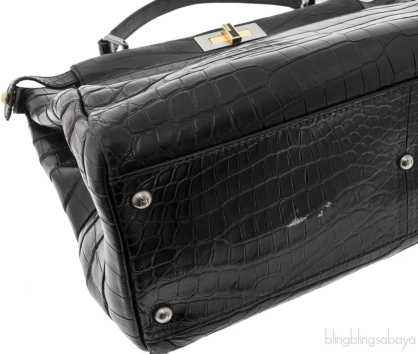Black Crocodile Peek-a-boo