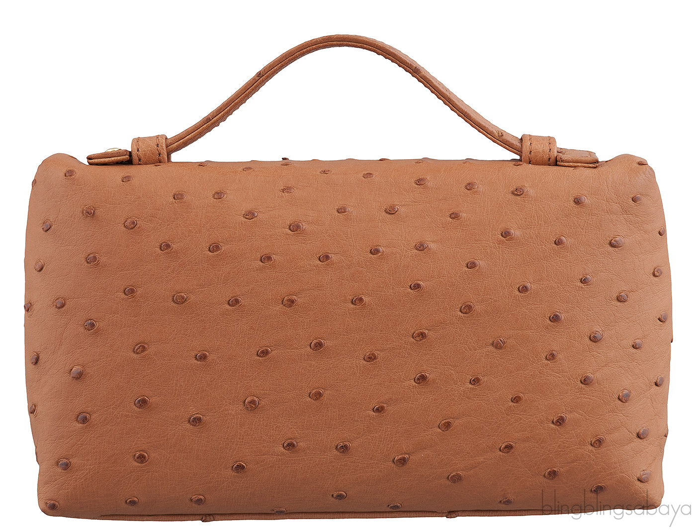 L19 Brown Ostrich Pouch