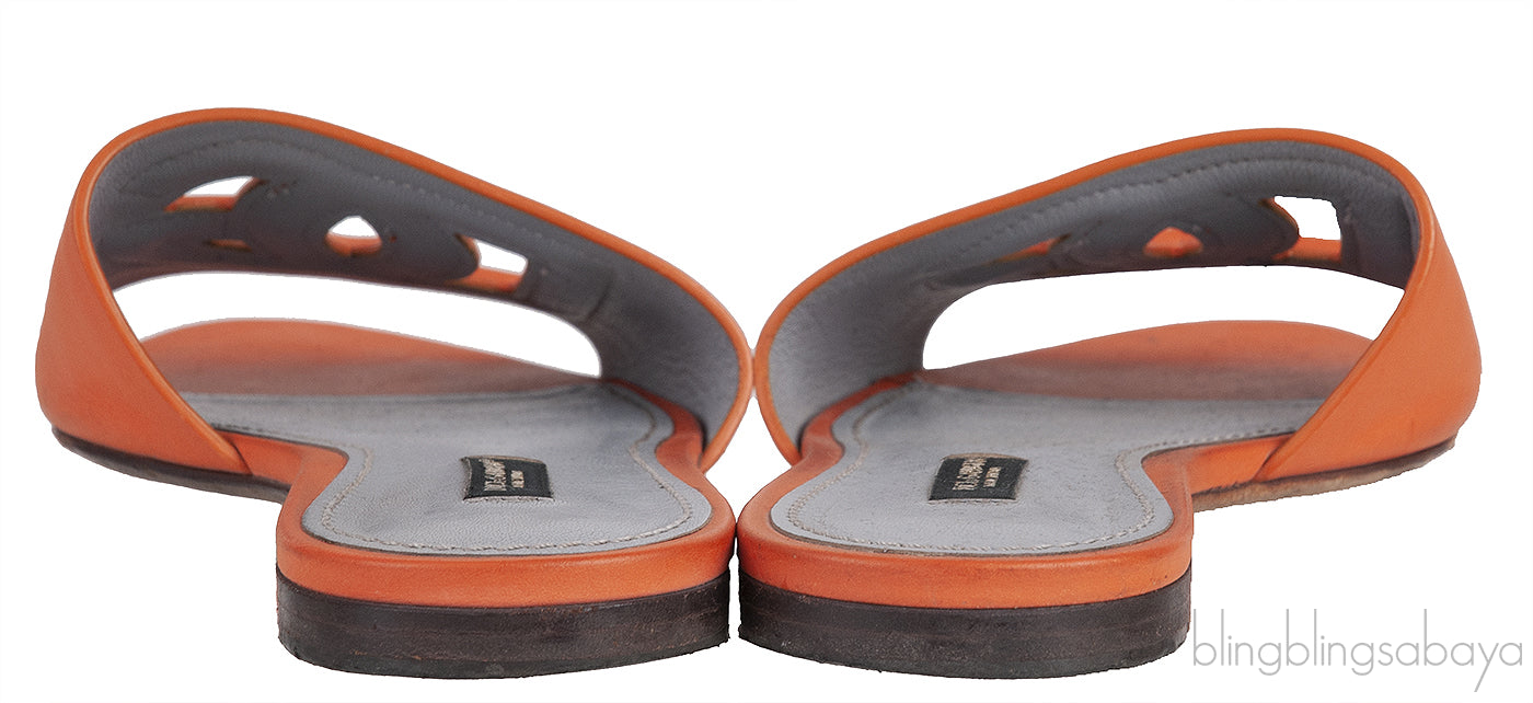 Orange DG Slide