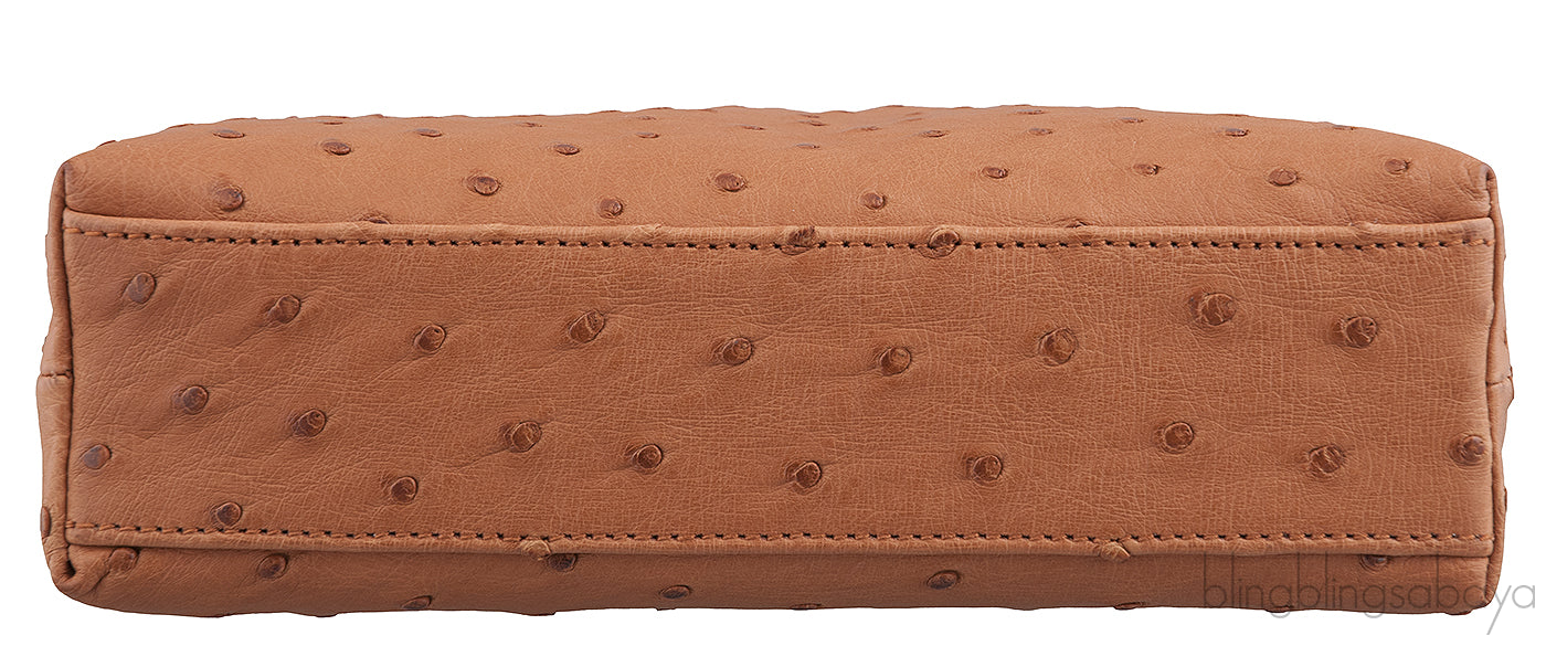 L19 Brown Ostrich Pouch