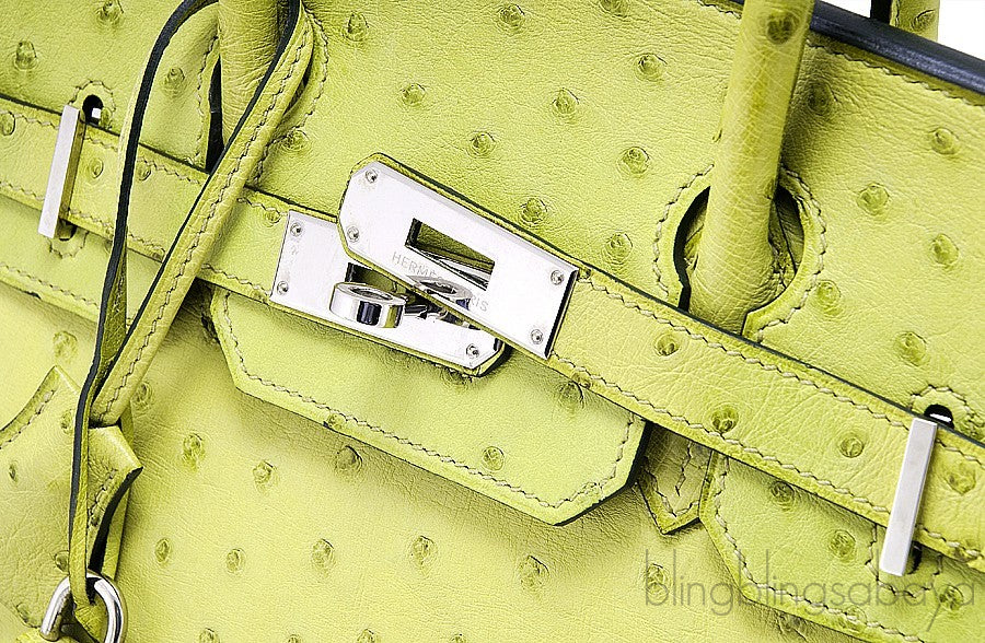 Birkin 30 Ostrich Vert Anis