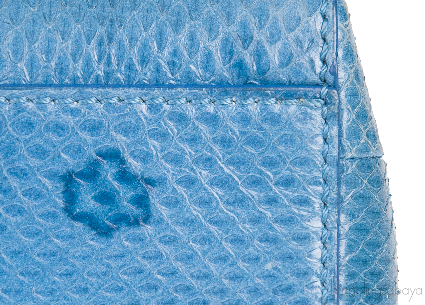 Blue Python Mini Peekaboo