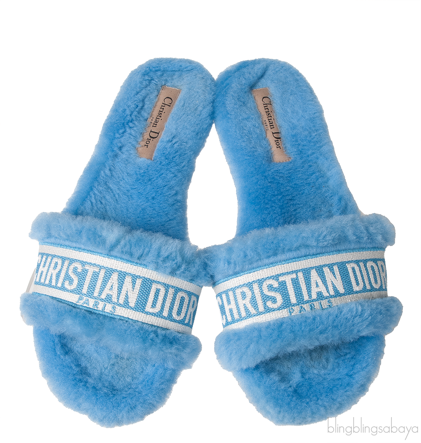 Christian Dior Chez Moi Blue & White Slide