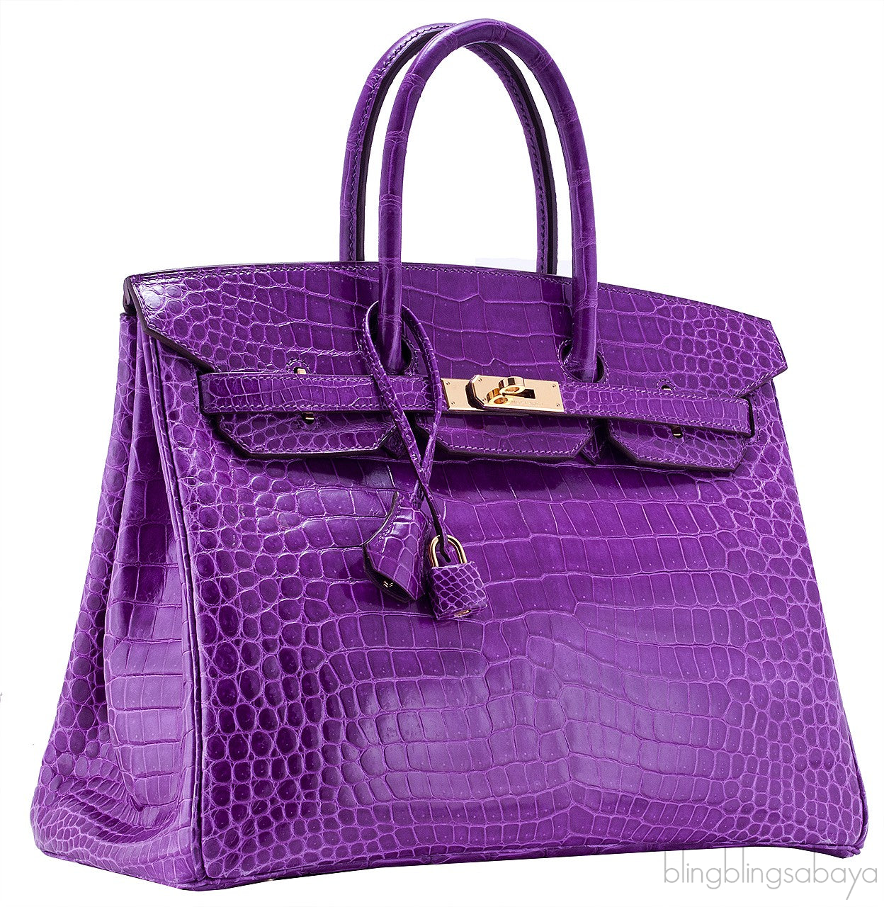 Birkin 35 Purple Crocodile GHW