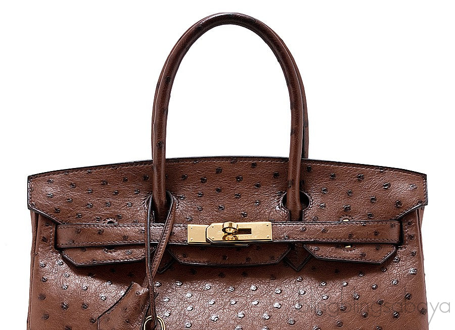Birkin 30 Etrusque Chocolate Ostrich