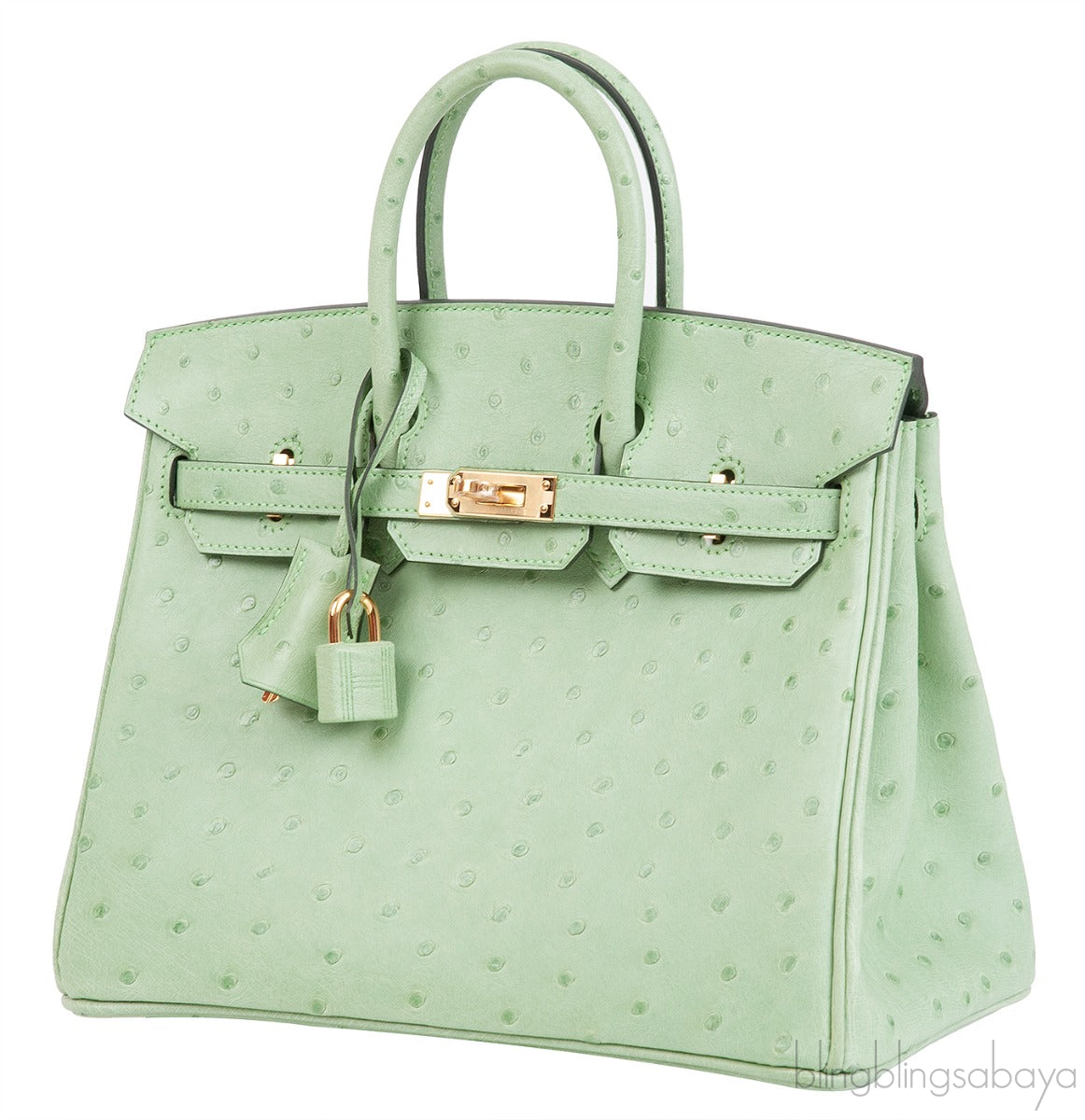 Birkin 25 Vert Criquet Ostrich GHW