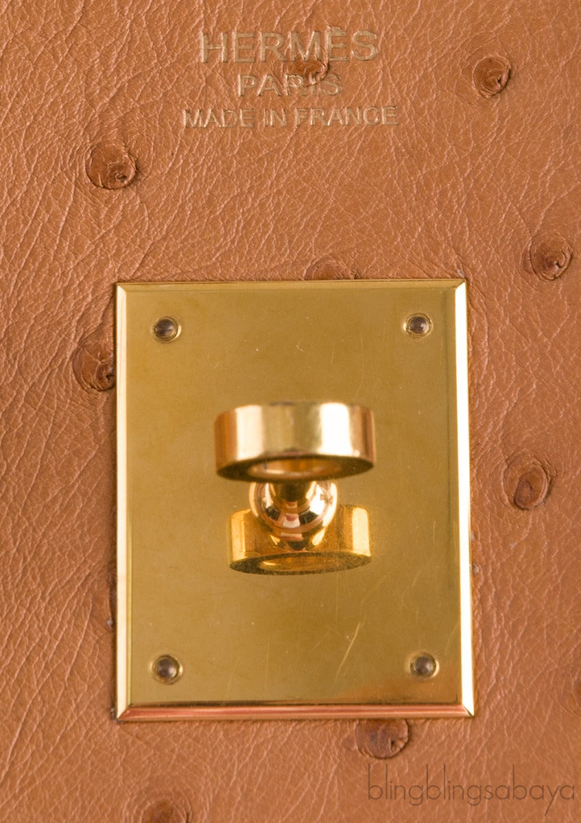 Birkin 30 Ostrich Cognac GHW