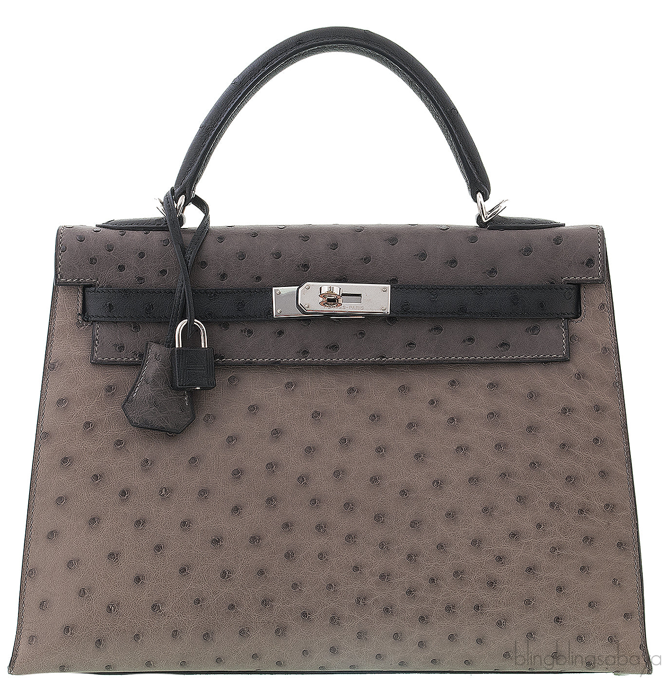 Kelly 32 Tri-color Ostrich PHW
