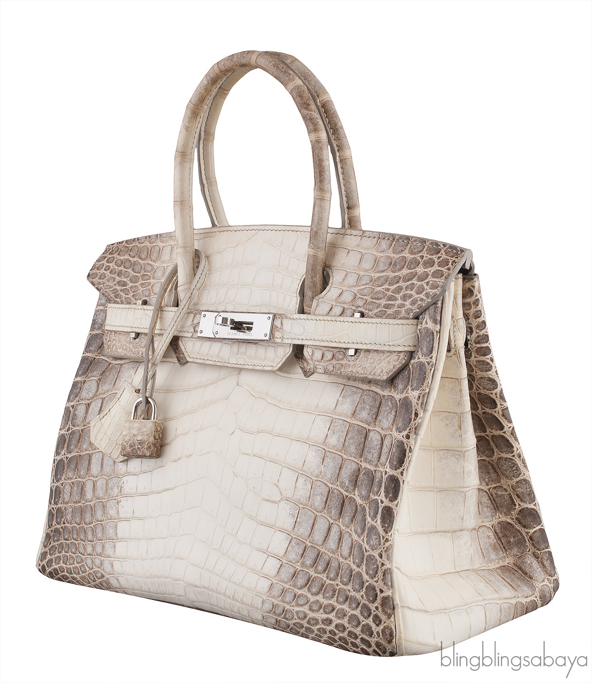 Birkin 30 Himalayan Crocodile PHW
