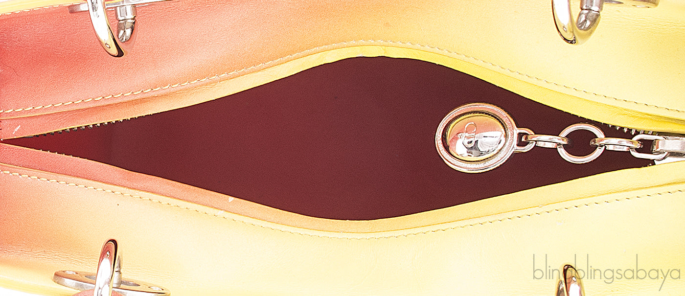 Bi-color Gradient Lady Dior Bag