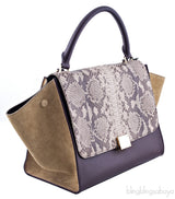 Tri color Python Trapeze Bag