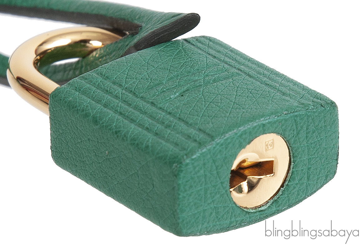 Hermes Birkin 25 Ostrich Vert Vertigo GHW
