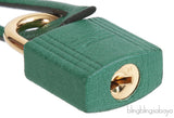 Hermes Birkin 25 Ostrich Vert Vertigo GHW