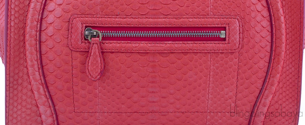 Mini Luggage Bougainvillia Python