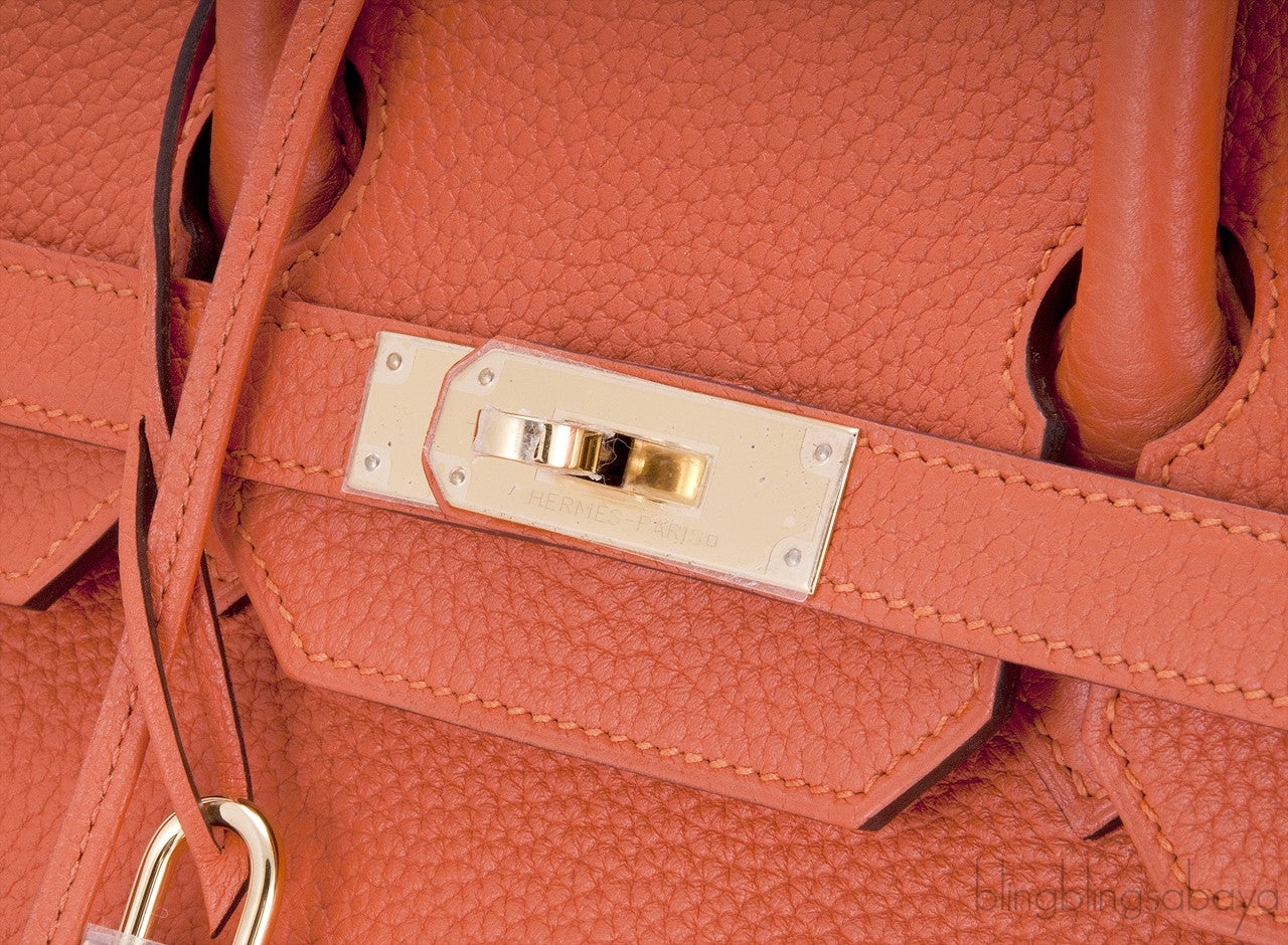 Birkin 35 Feu Taurillon Clem GHW