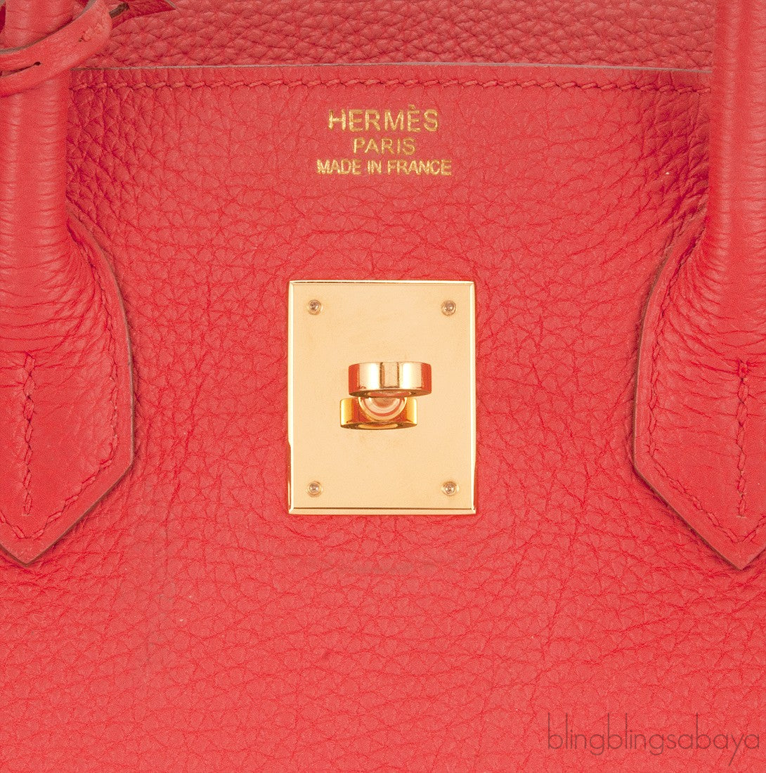 Birkin 35 Capucine Togo GHW