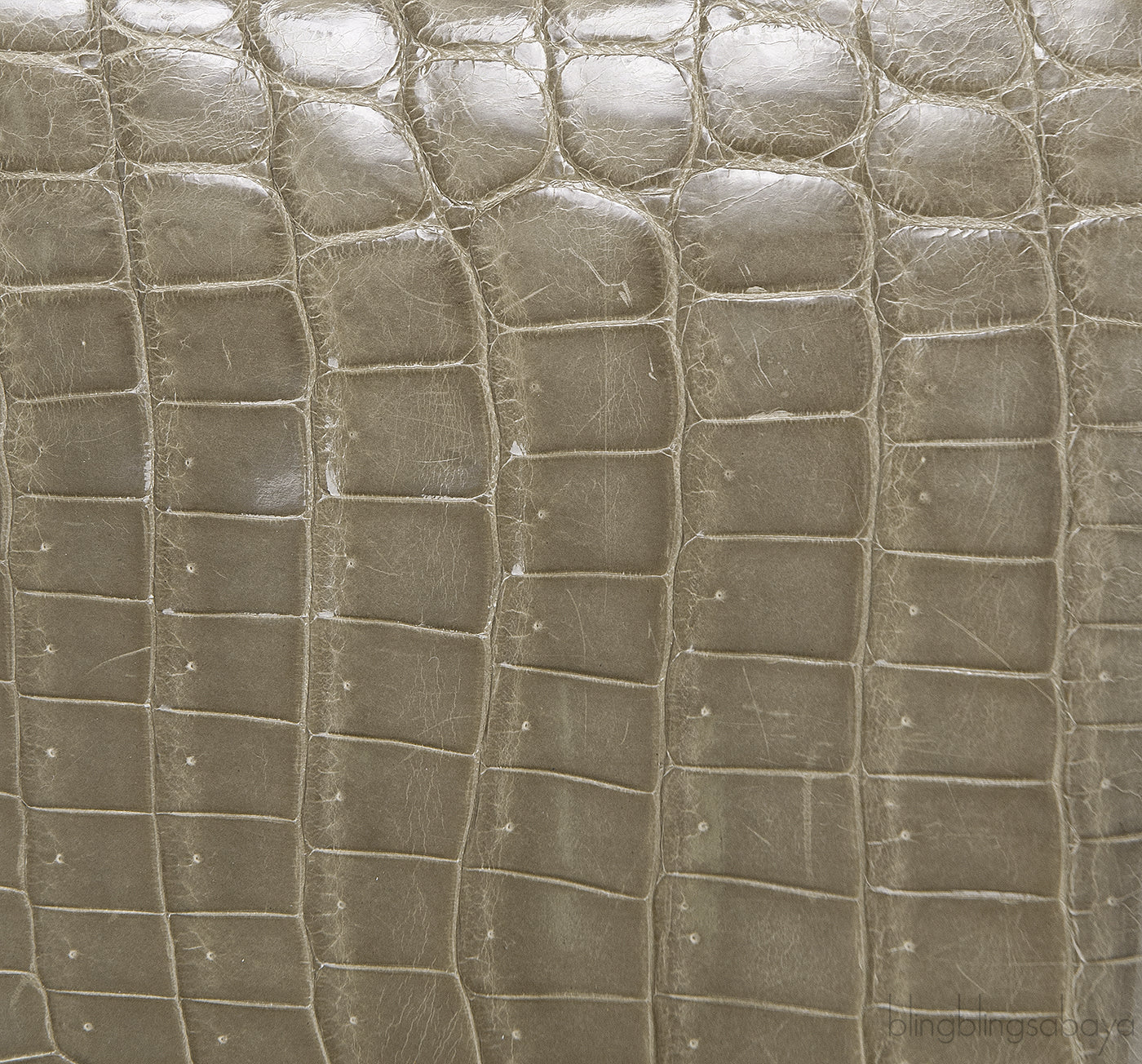 Hermes Birkin 25 Gris Tourterelle Crocodile GHW