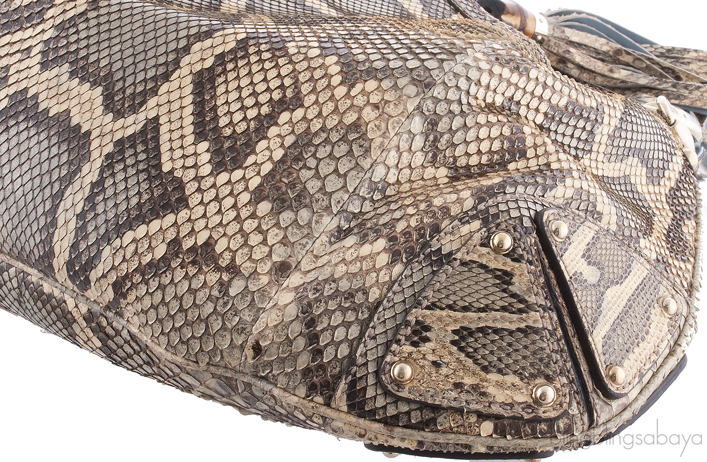 Indy Yellow Light Blue Python