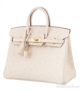 Birkin 25 Boreal Nata Ostrich GHW