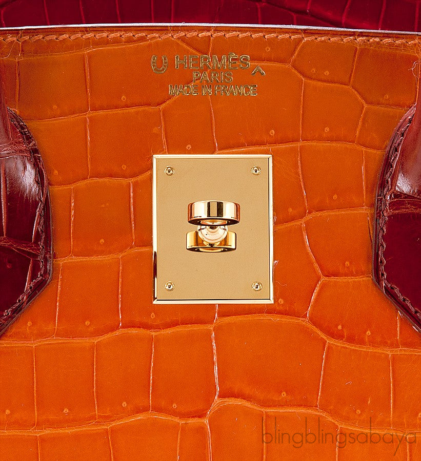Birkin 35 Tricolor Crocodile Ltd. Ed.