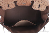 Hermes Vintage Birkin 35 Brown Ostrich GHW