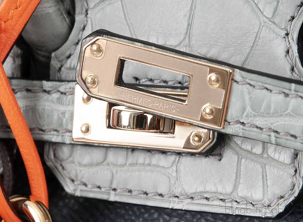 Birkin 20 Sellier Faubourg Rainy Days Gris Misty GHW