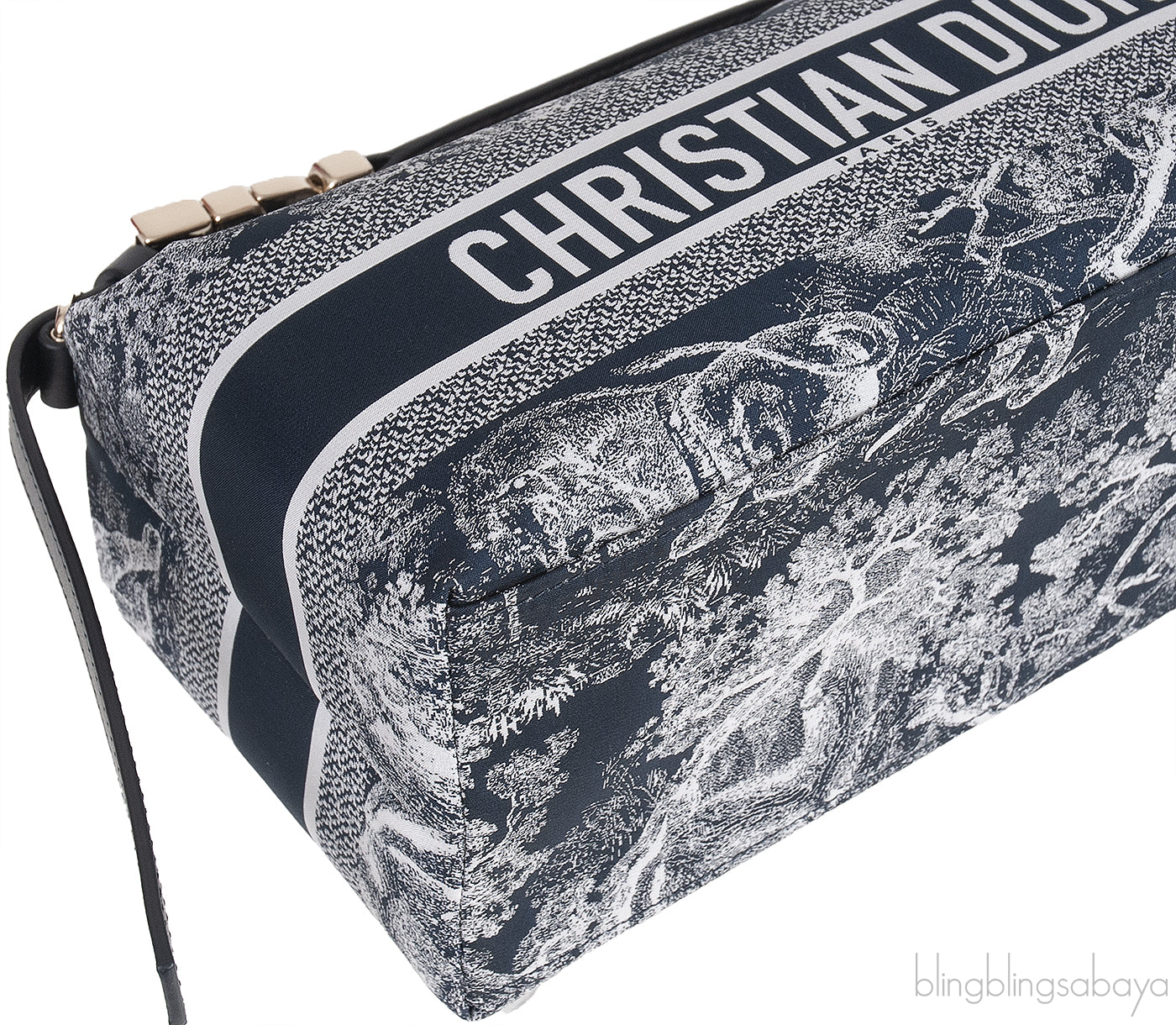 Medium DiorTravel Nomad Pouch