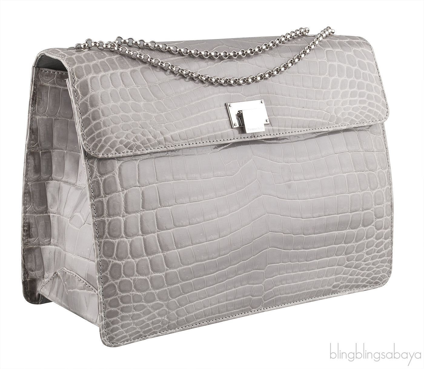 Grey Cornelia Lunch Box Crocodile Bag