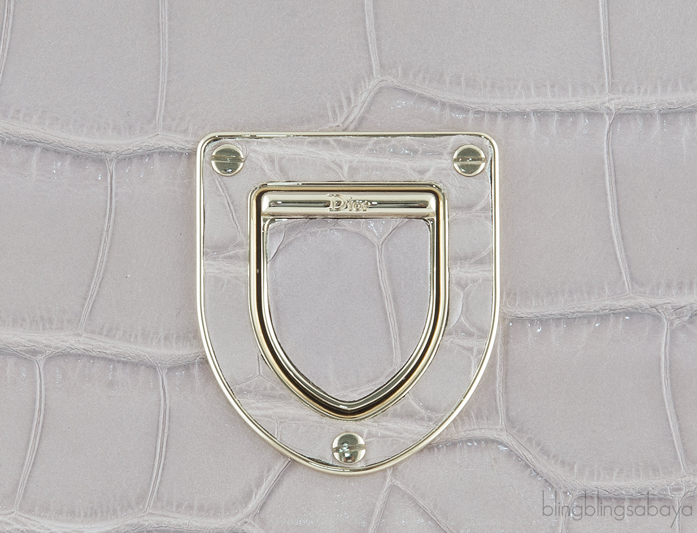 Diorever Grey Crocodile Medium Bag