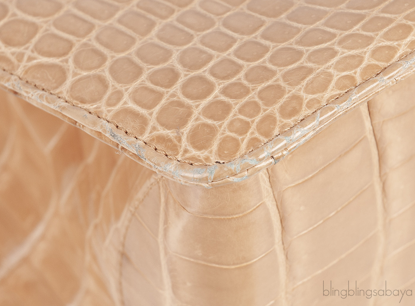 Beige Cornelia Lunch Box Crocodile Bag