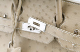 Birkin 30 Parchemin Ostrich