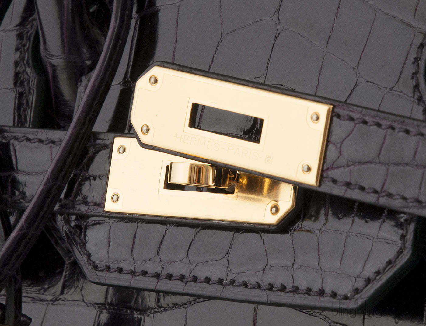 Birkin 30 Prunoir Crocodile Lisse GHW