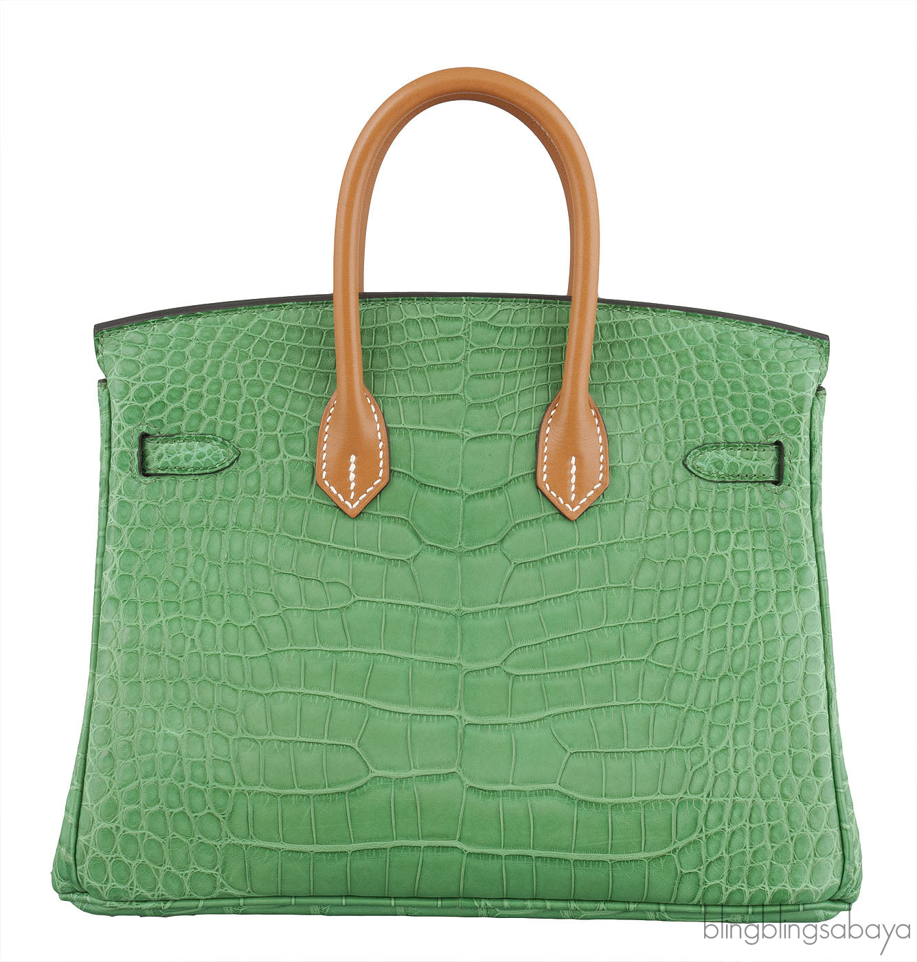 Birkin 25 Cactus Crocodile Natural Sable