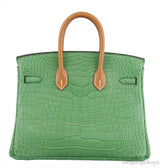 Birkin 25 Cactus Crocodile Natural Sable
