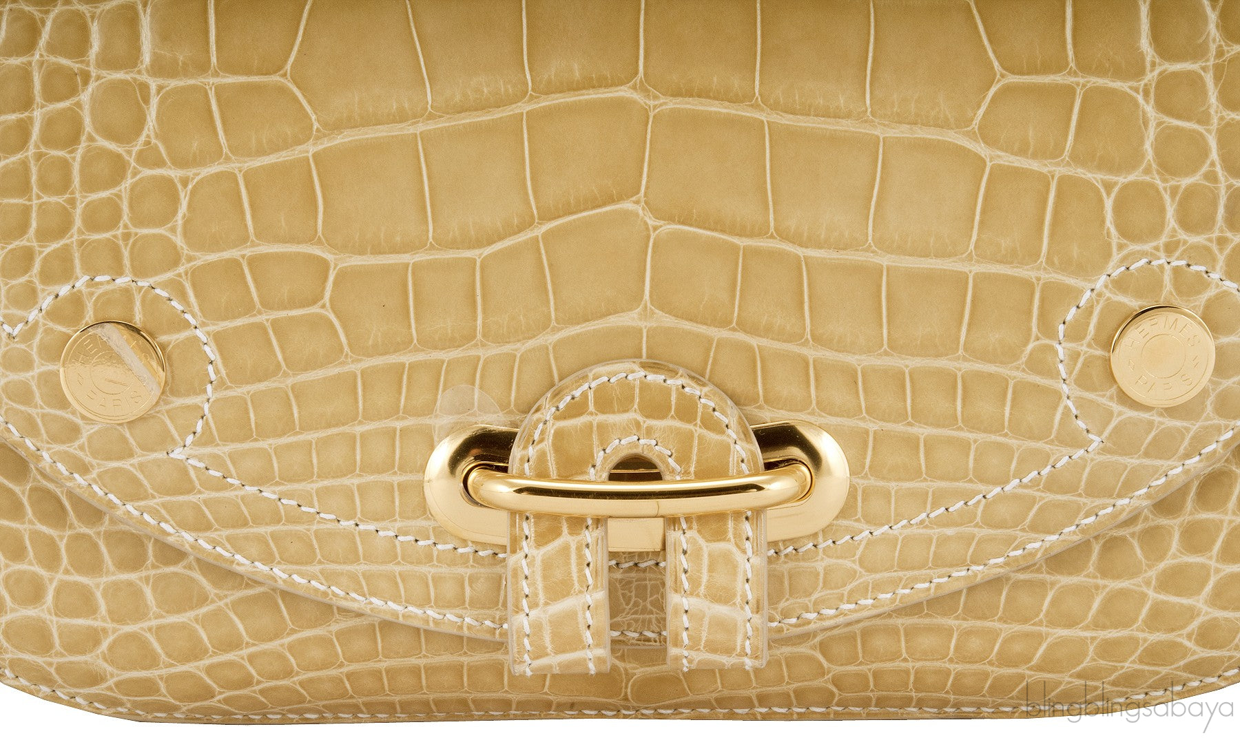 Pass Guide Crocodile Poussiere GHW