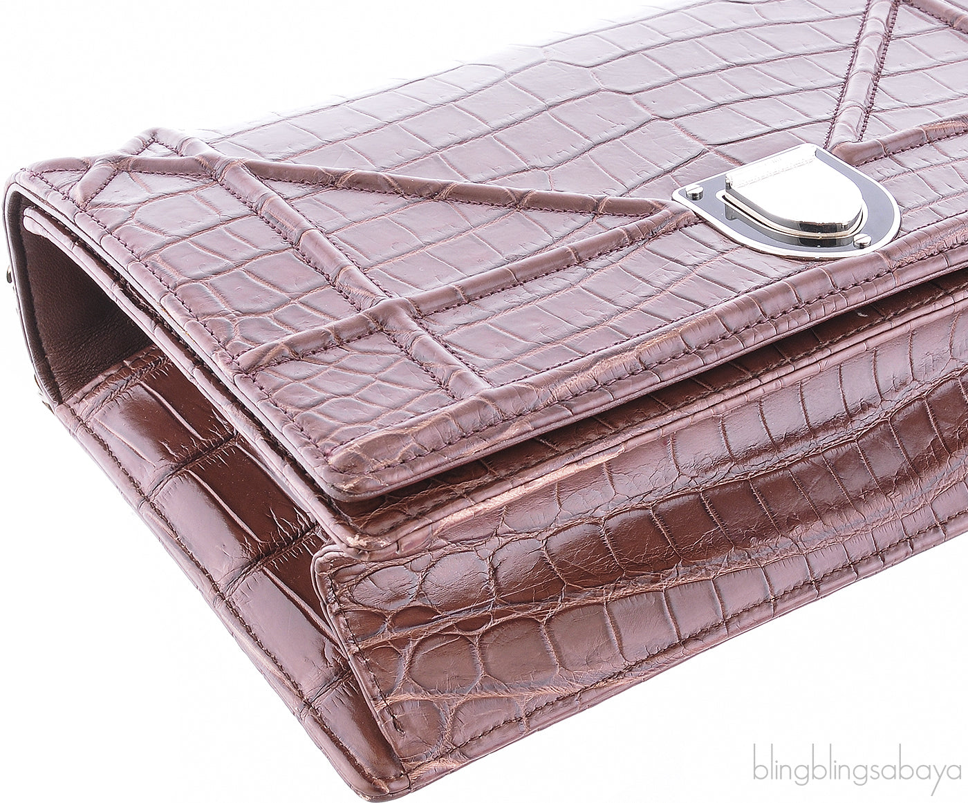 Diorama Crocodile Flap Bag