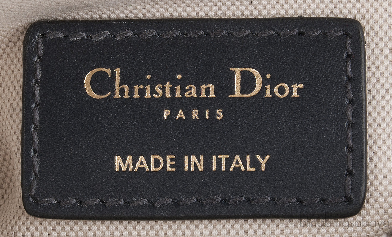 Blue Dior Oblique Jacquard Mini