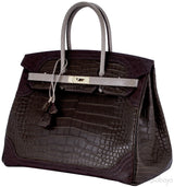 Birkin Ghillies Croc Lizard Ostrich