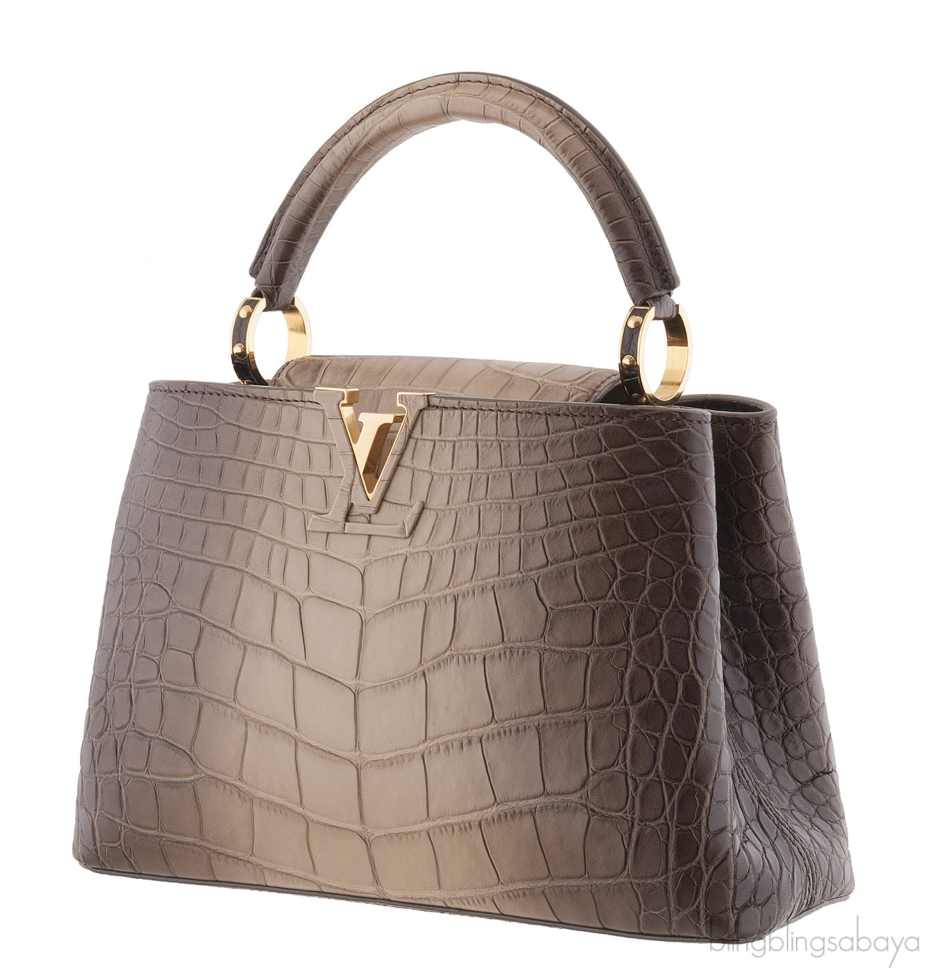 Capucine Gradient Crocodile B