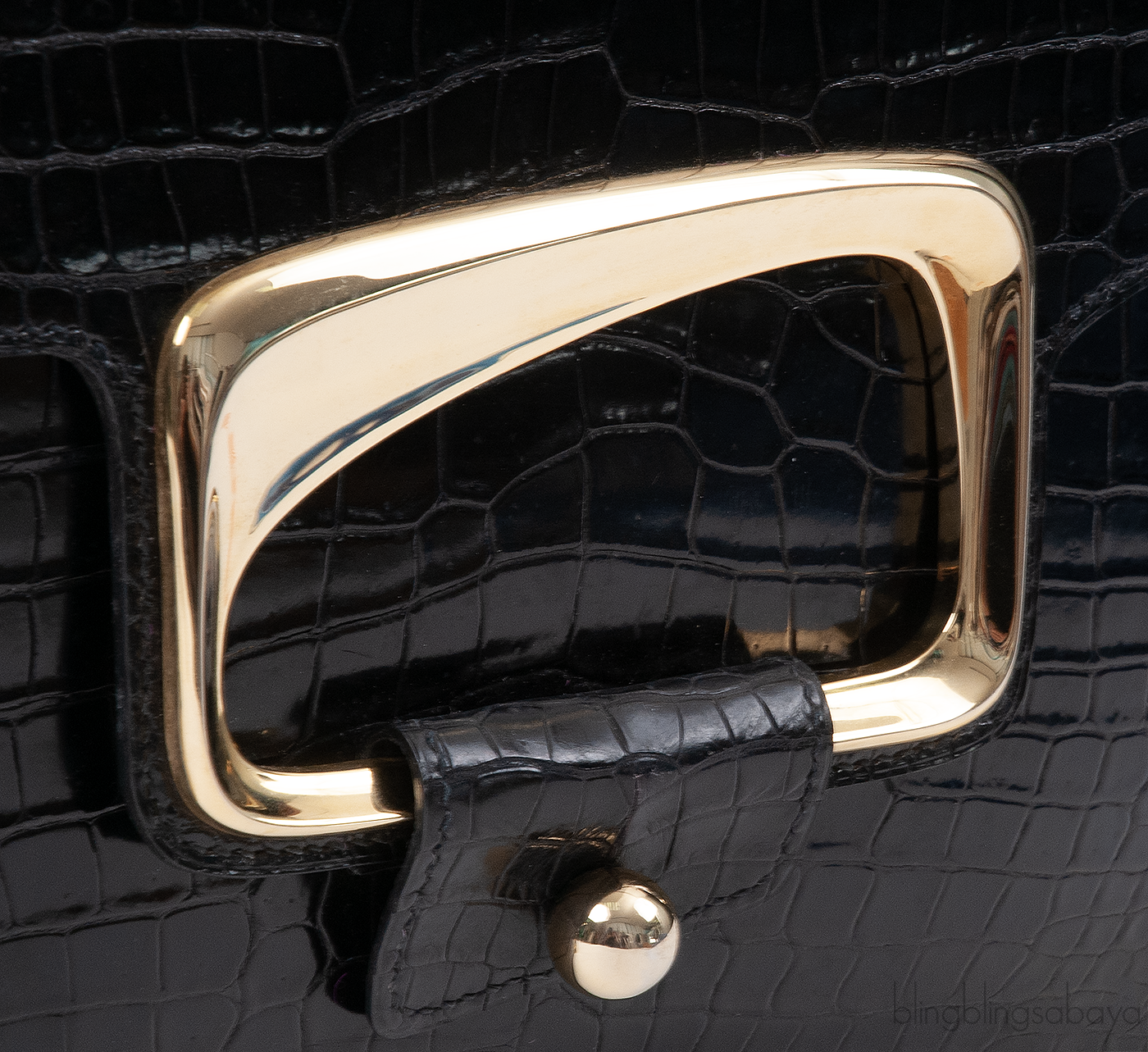 Stephane Rolland Talitha Black Crocodile Bag