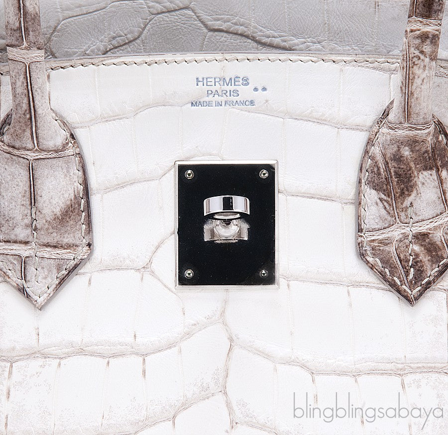 Birkin 30 Himalaya Matte Niloticus