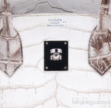 Birkin 30 Himalaya Matte Niloticus